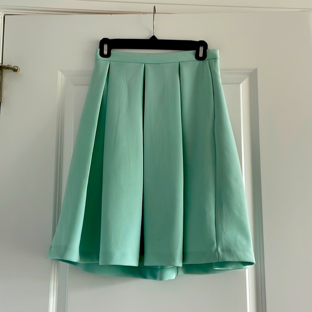 Sea foam Green Skirt